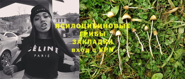 гашик Армянск